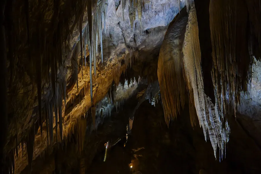 Stalactites hanging in a lit limestone cave