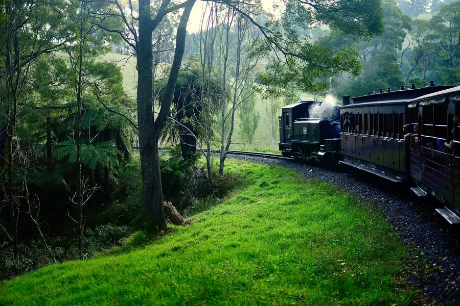 The Puffing Billy steam train in forest at Belgrave